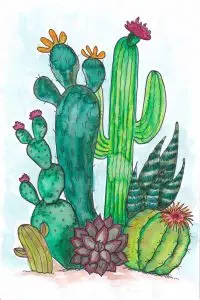 Watercolor a FREE Cactus Printable with Tombow Dual Brush Pens with Creatively Beth #creativelybeth #watercolor #freeprintable #cactus #homedecor #howto