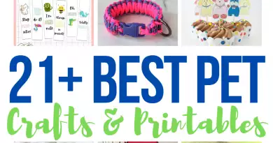 21+ of the BEST Pet Crafts, DIYs, Free Printables, and SVGs Creatively Beth #creativelybeth #pet #crafts #svgfiles #freeprintables #petcrafts #diy