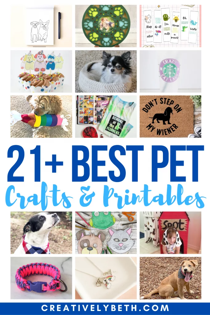 20+ The Coolest Ready For Summer Dogs - DIY Darlin