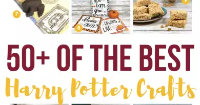 50+ Harry Potter Recipes and Crafts - For the Love of Food